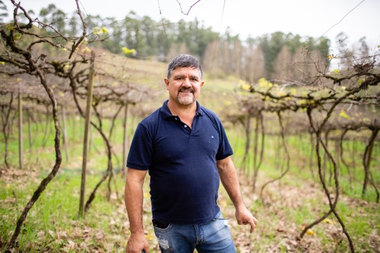 Vilson Ghisleri in seinem Weingarten
