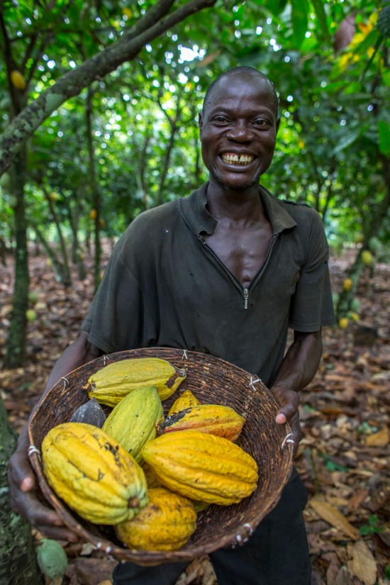Kakaobauer Ngoran Kouakou