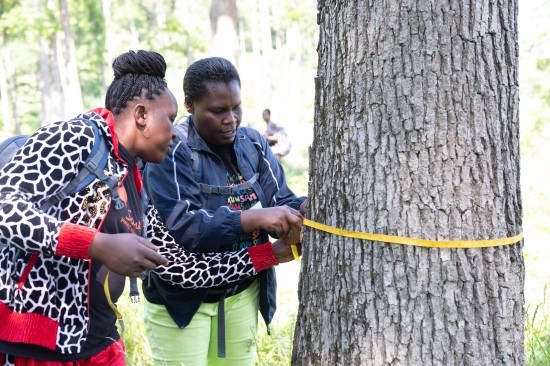 Rose Otieno und Mary Oduor beim Vermessen eines Baumes (Copyright: ÖBf-Archiv/Frank Helmrich)