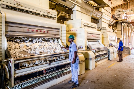 Die Entkörnungsmaschinen von Ivoire Coton, mit denen die Baumwollfasern von den Samenkernen getrennt werden